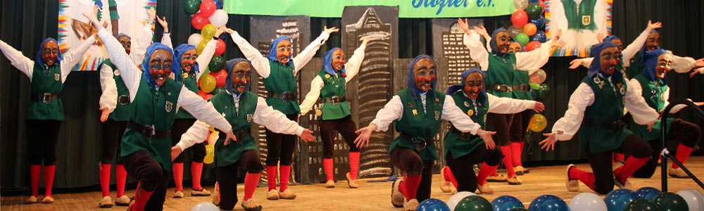 Bild Brauchtumstanz am Zunftball